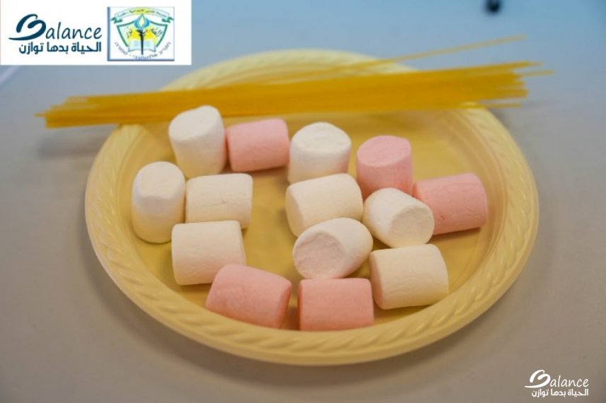 سفراء الصحة - مدرسة المتنبي طمره-صورة-2